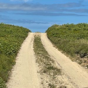 Meet your Posher, Steve